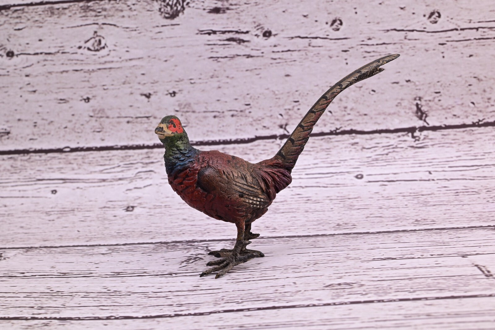 Stunning Antique Austrian Vienna Cold Painted Bronze of Ring Neck Pheasant4