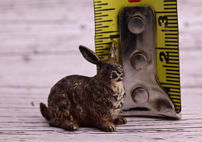 Fine Quality Antique Cold Painted Austrian Vienna Bronze Figure of Rabbit13