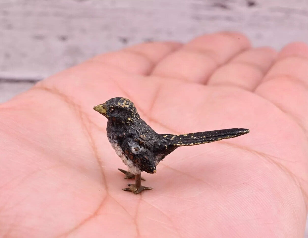 Highly Detailed Antique Austrian Vienna Cold Painted Bronze Small Black Bird11