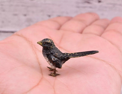 Highly Detailed Antique Austrian Vienna Cold Painted Bronze Small Black Bird11