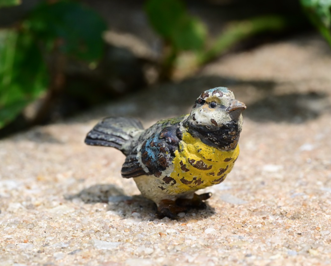 Lovely Antique 1900s Austrian Vienna Cold Painted Bronze Blue Tit Songbird 0