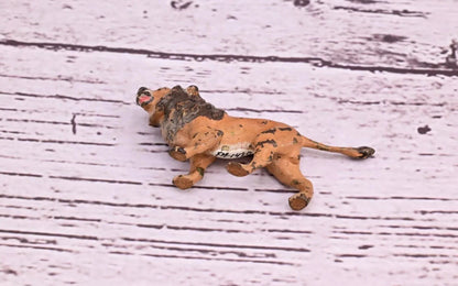Well Detailed Antique Austrian Vienna Cold Painted Bronze Figure of Small Lion10