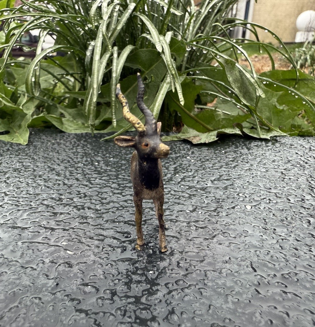 Lovely Antique Austrian Vienna Cold Painted Bronze Figure of Antelope / Gazelle5