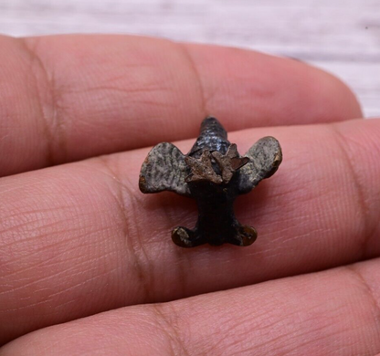 Extremely  Small Antique Cold Painted Austrian Vienna Bronze of a Turkey6