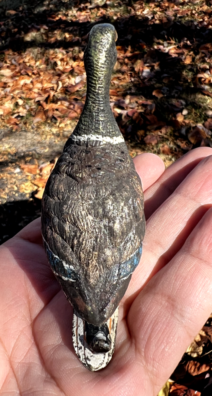 Amazing Antique Austrian Vienna Cold Painted Bronze Figure of Mallard Duck5