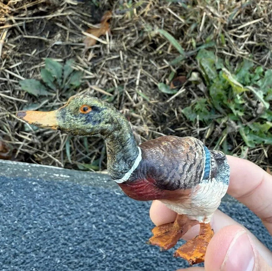Beautiful Antique Austrian Vienna Cold Painted Bronze Figure of Mallard Duck5