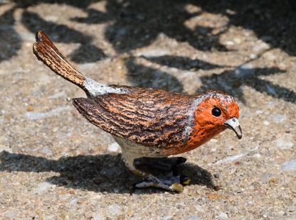 Gorgeous Austrian Vienna Cold Painted Bronze Bird Figure of European Robin0