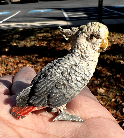 Original Antique Austrian Vienna Cold Painted Bronze Figure of Cockatoo6
