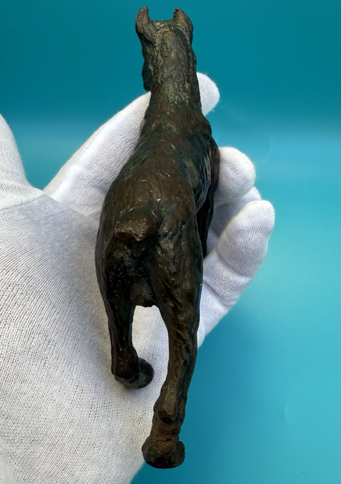 Antique 1900s Austrian Vienna Cold Painted Bronze Figure of Giant Schnauzer9