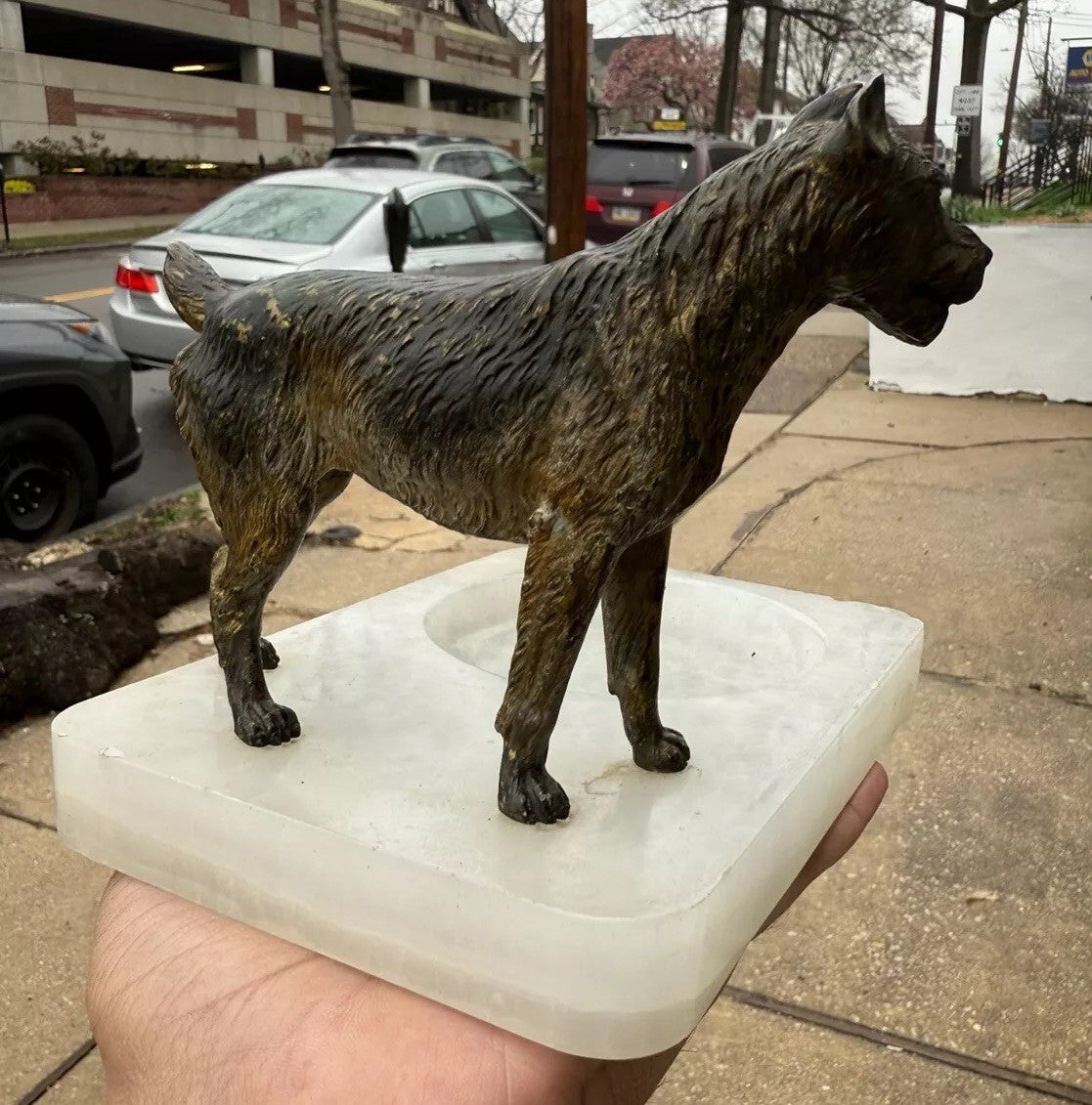 Super Detailed Antique Austrian Vienna Cold Painted Bronze Figure of Terrier Dog6