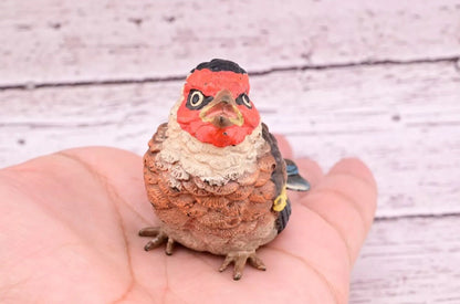 Majestic Antique Austrian Vienna Cold Painted Bronze Figure of Golden Finch12