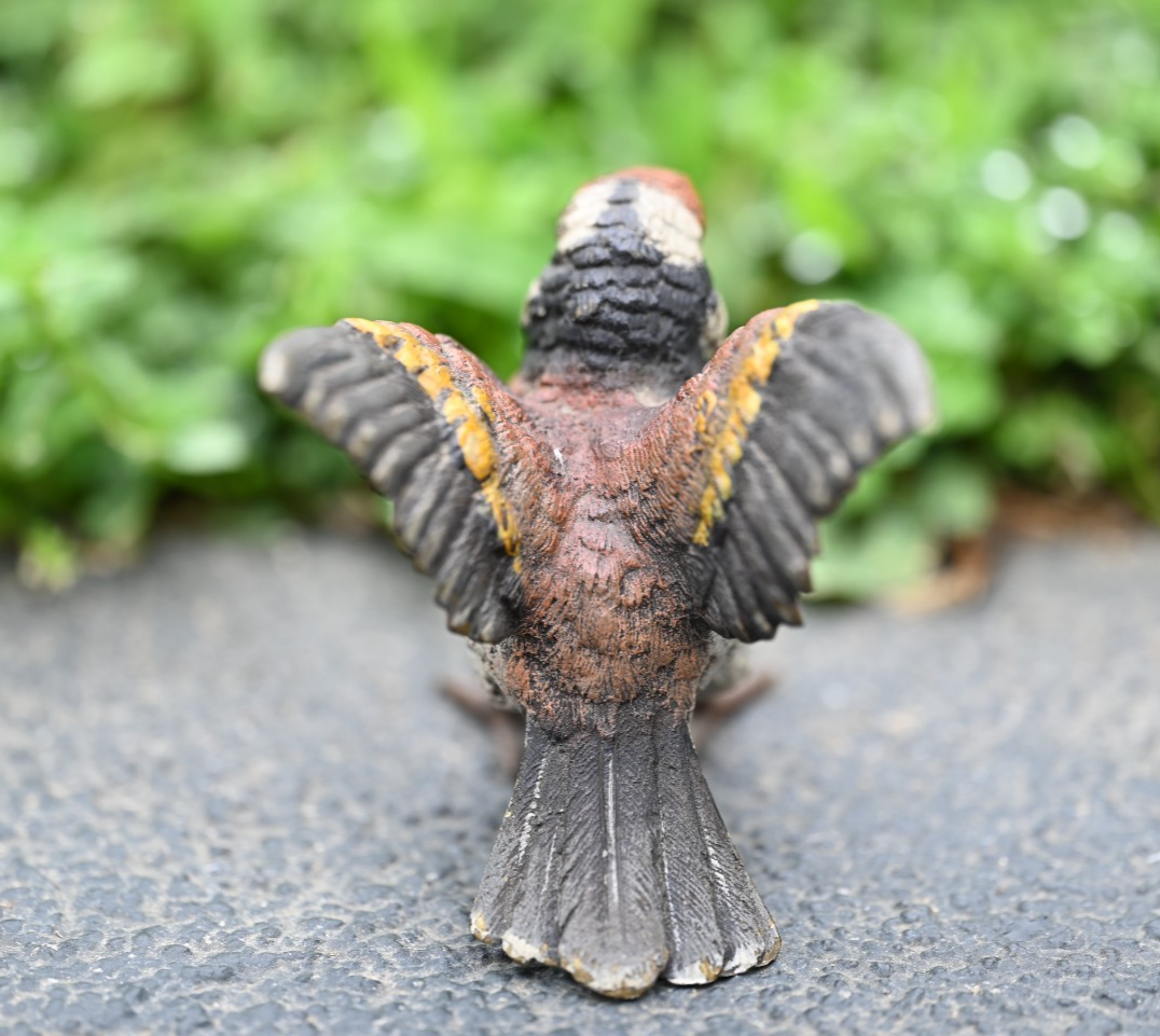 Amazing Life - Like Austrian Vienna Cold Painted Bronze Figure of Goldfinch Bird5