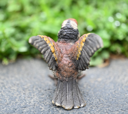 Amazing Life - Like Austrian Vienna Cold Painted Bronze Figure of Goldfinch Bird5