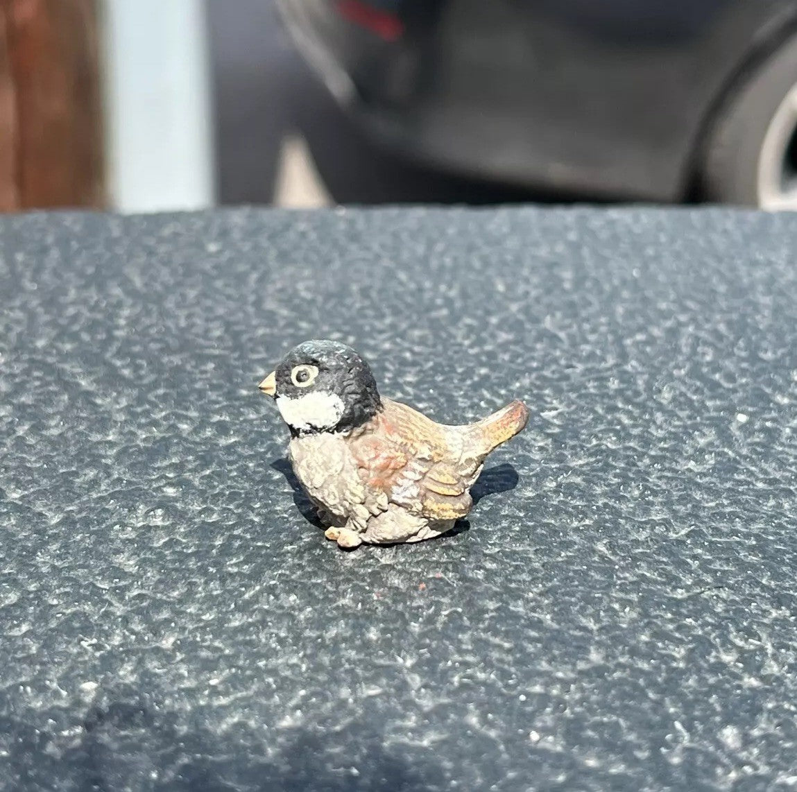 Lovely Antique Austrian Vienna Cold Painted Bronze Figure of Cute Small Sparrow3