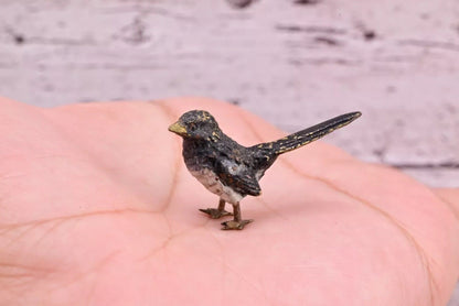 Highly Detailed Antique Austrian Vienna Cold Painted Bronze Small Black Bird5