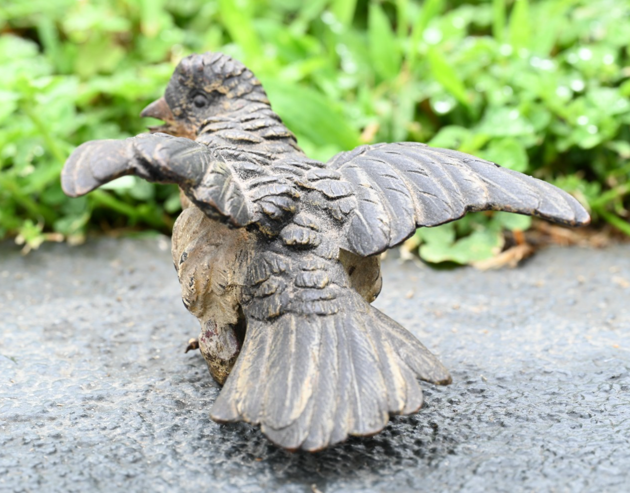 Detailed Antique Austrian Vienna Cold Painted Bronze Figure of Cuckoo Bird6