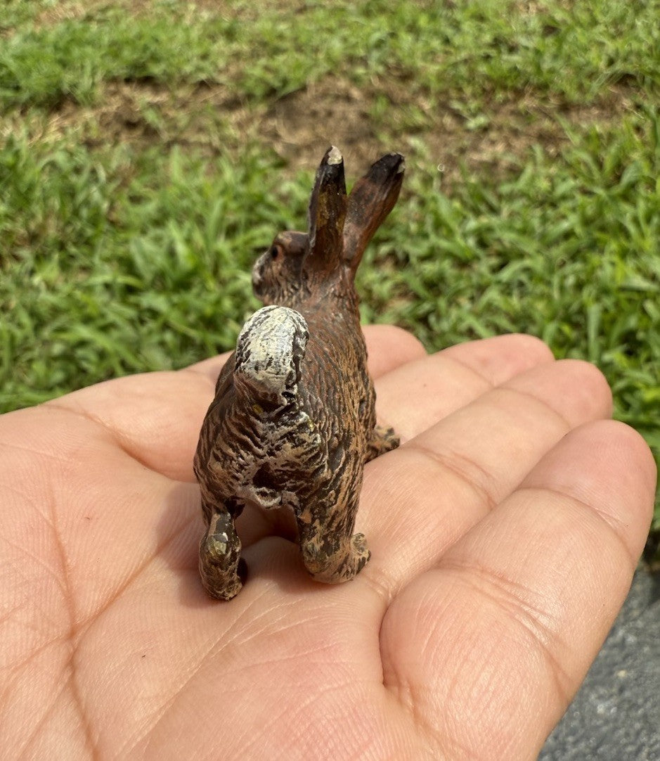 Life Like Antique Austrian Vienna Cold Painted Bronze of Brown Rabbit6
