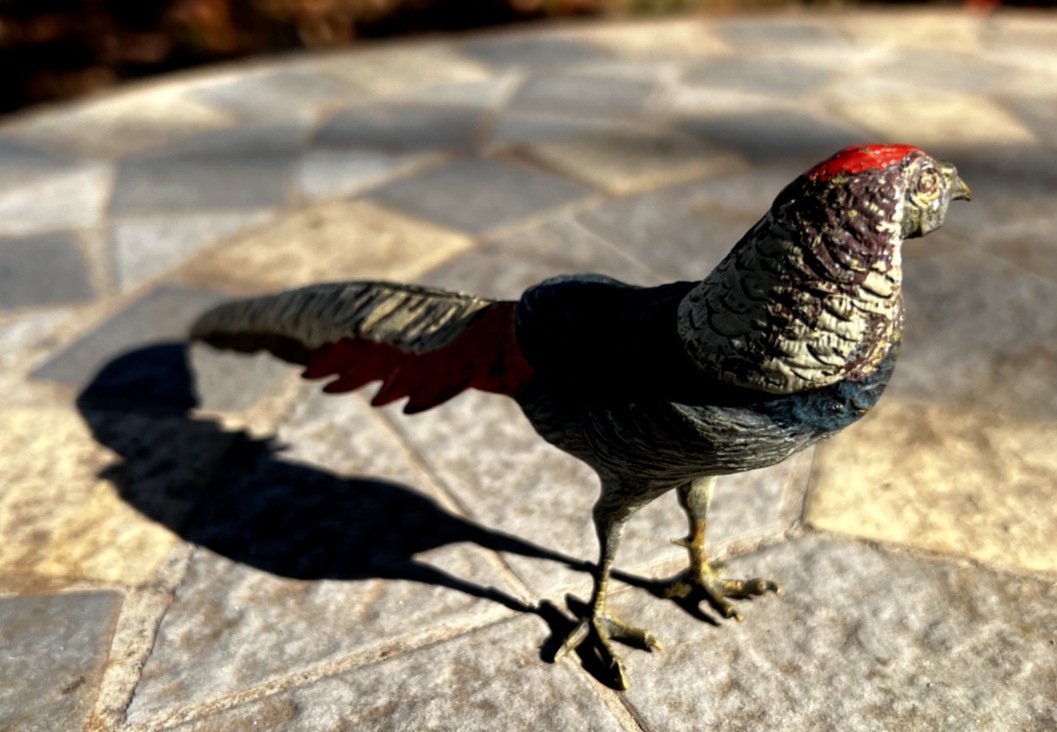 Antique Austrian Vienna Cold Painted Bronze Figure of Amherst Pheasant3