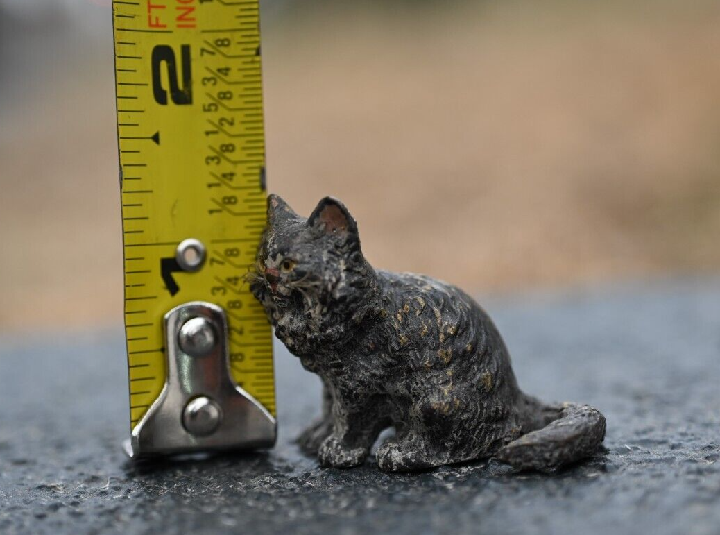 Serious Faced Antique Austrian Vienna Cold Painted Bronze Figure of Small Cat5