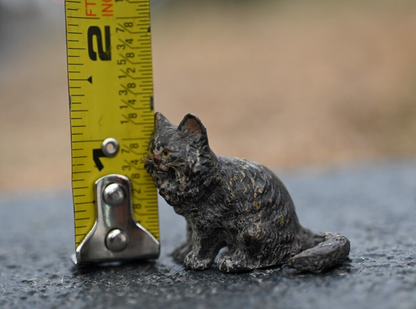 Serious Faced Antique Austrian Vienna Cold Painted Bronze Figure of Small Cat5