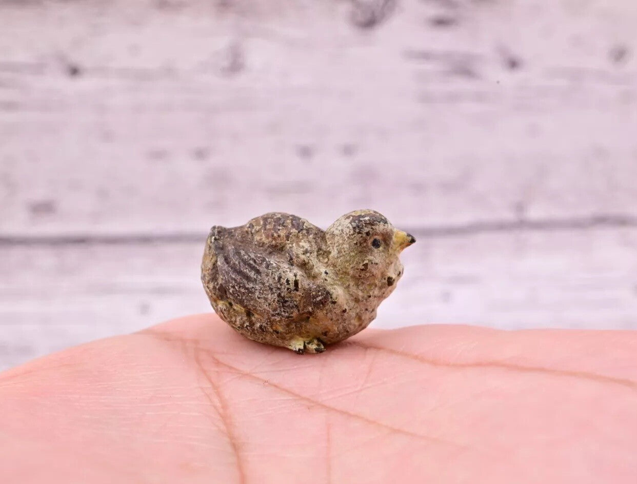 Super Nice Antique Austrian Vienna Cold Painted Bronze Figure of Quail4