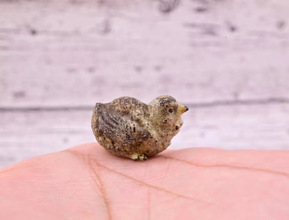 Super Nice Antique Austrian Vienna Cold Painted Bronze Figure of Quail4