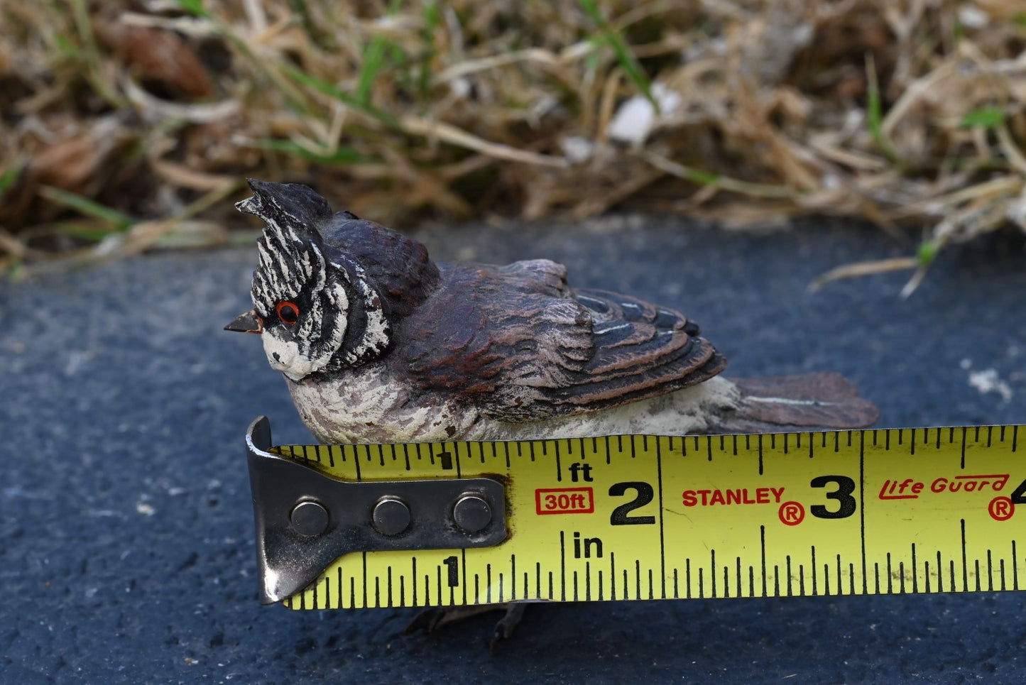 Gorgeous Austrian Vienna Cold Painted Bronze Figure of Black-crested Titmouse8