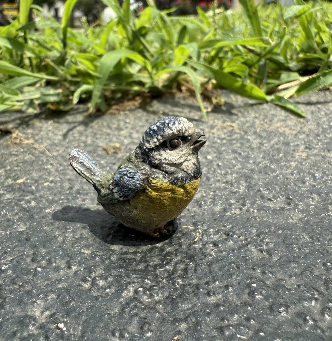 Original Antique Austrian Vienna Cold Painted Bronze of Great Tit Songbird2