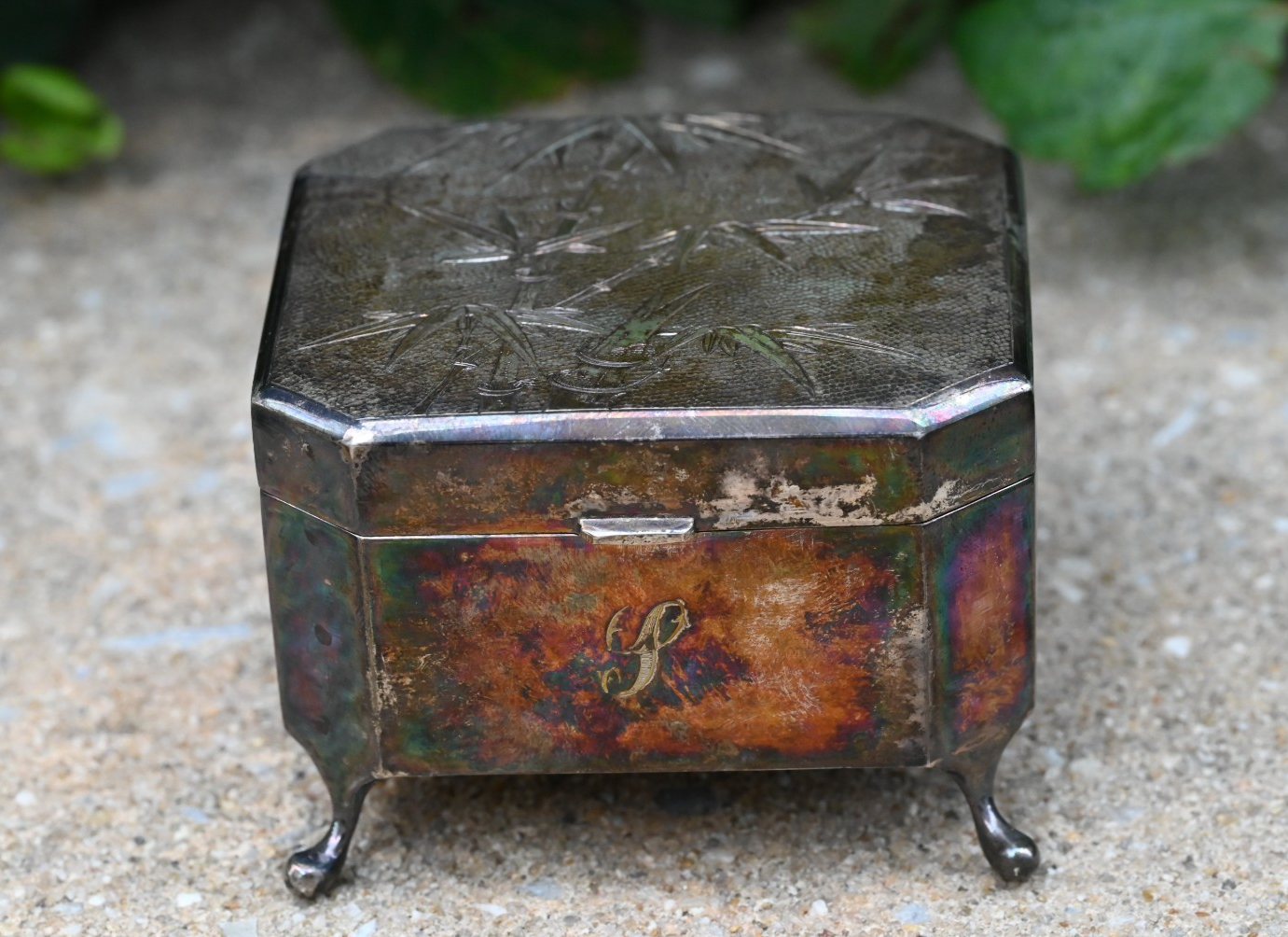 Antique Bamboo Design Tack Hing Hong Kong Export Silver Jewelry / Trinket Box2