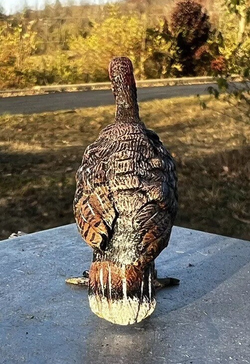Great Detailed Antique Austrian Vienna Cold Painted Bronze Figure of Turkey4