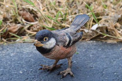 Life - Like Austrian Vienna Cold Painted Bronze Bird Figure of a Cape Sparrow6