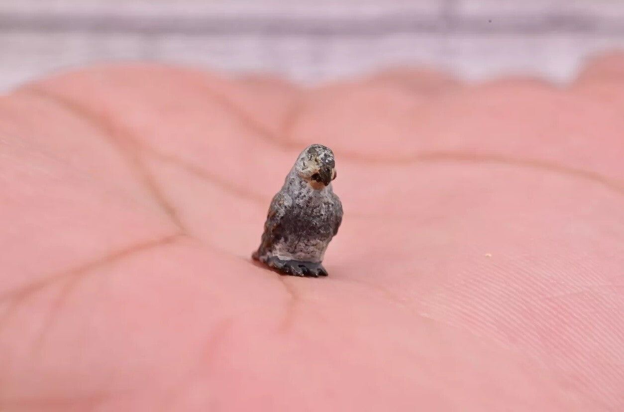 Awesome Antique Austrian Vienna Cold Painted Bronze Figure of Small Gray Parrot4
