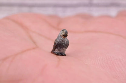Awesome Antique Austrian Vienna Cold Painted Bronze Figure of Small Gray Parrot4