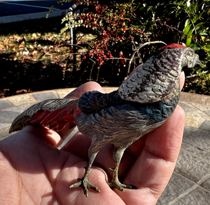 Antique Austrian Vienna Cold Painted Bronze Figure of Amherst Pheasant14