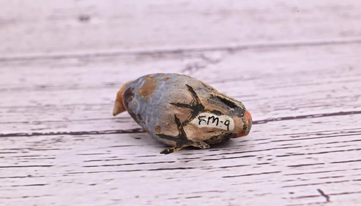 Cute Tiny Antique Austrian Vienna Cold Painted Bronze Figure of Game Bird11