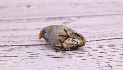 Cute Tiny Antique Austrian Vienna Cold Painted Bronze Figure of Game Bird11