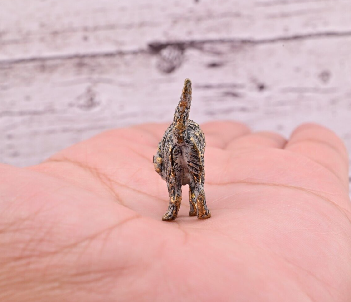Life-Like Antique Austrian Vienna Cold Painted Bronze Figure of Scared Cat5