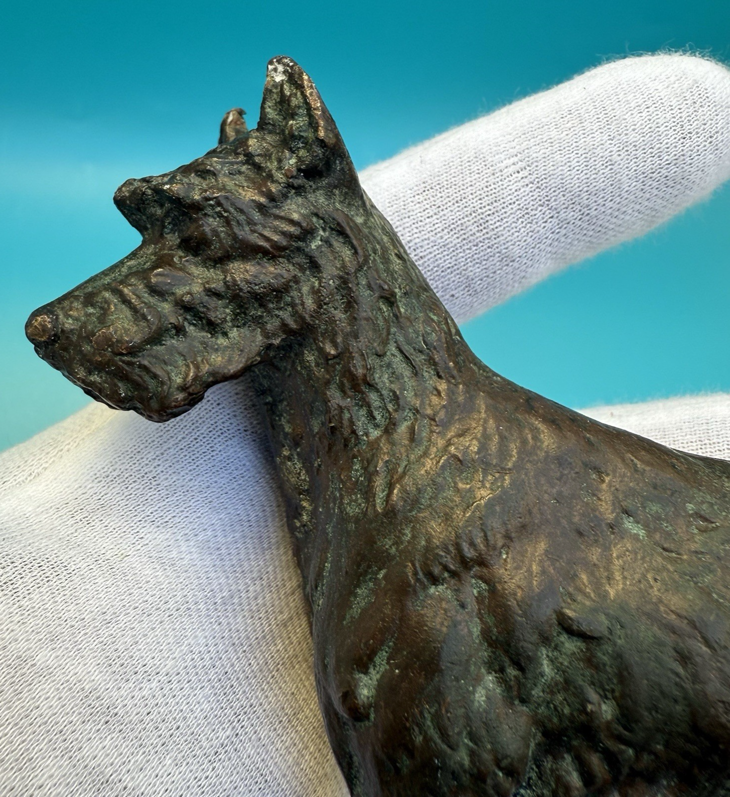Antique 1900s Austrian Vienna Cold Painted Bronze Figure of Giant Schnauzer1