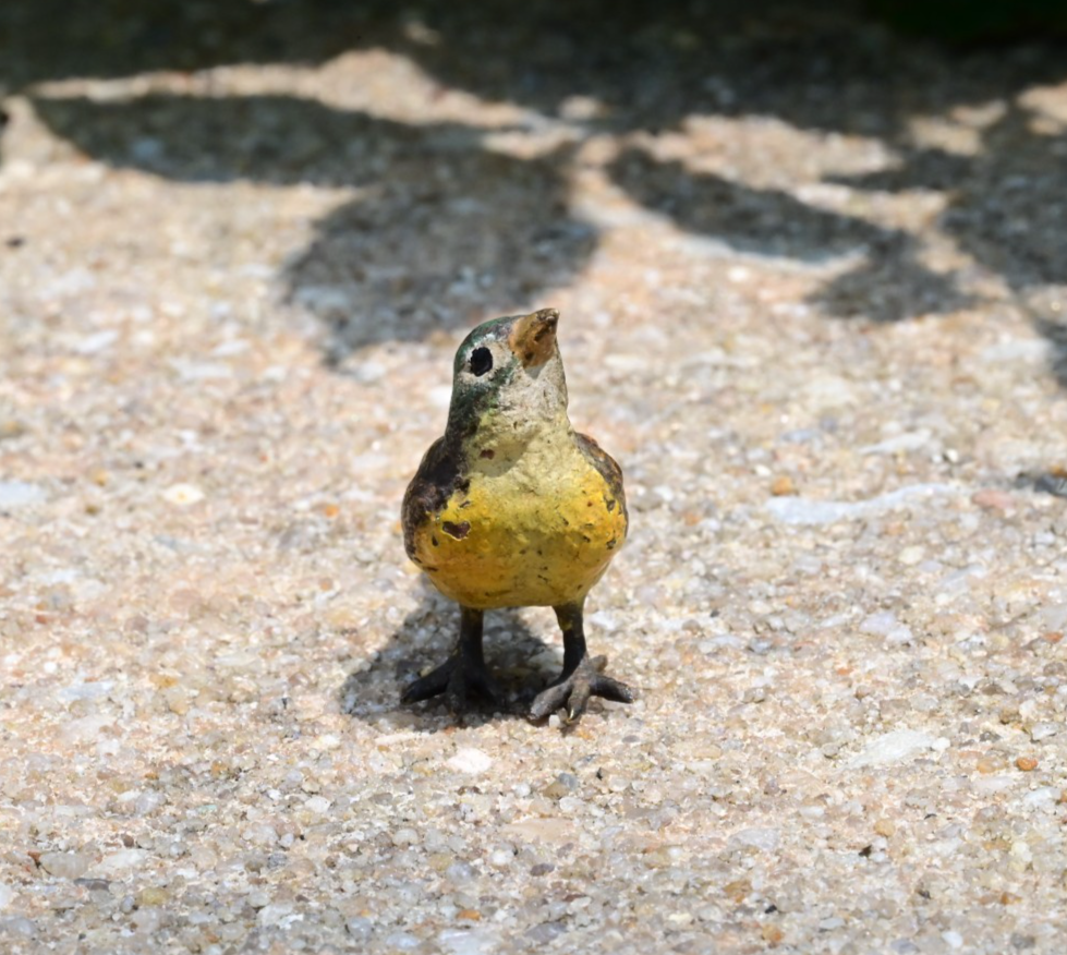 Super Cute Miniature Austrian Vienna Cold Painted Bronze Bird Figure of Robin1