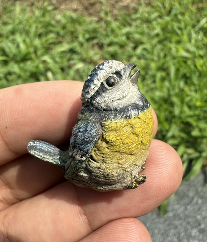 Original Antique Austrian Vienna Cold Painted Bronze of Great Tit Songbird0