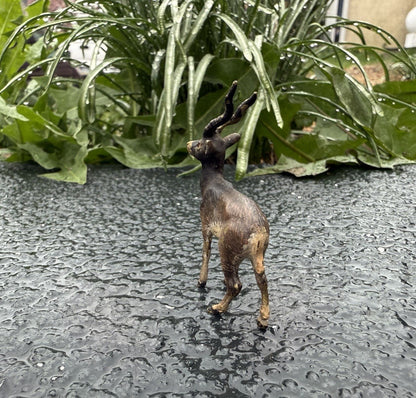 Lovely Antique Austrian Vienna Cold Painted Bronze Figure of Antelope / Gazelle2