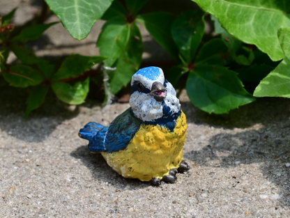 Lovely Austrian Vienna Cold Painted Bronze Figure of Blue & Yellow Tit Songbird3