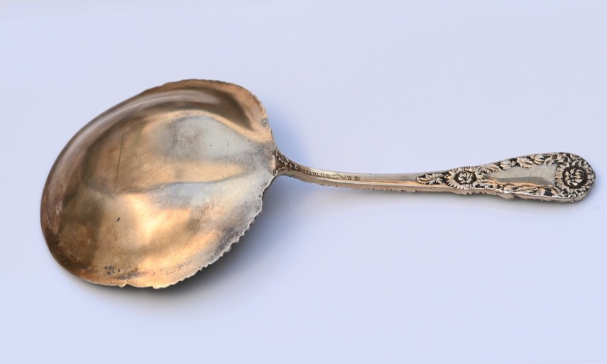 Antique William Durgin Co. Enameled Chrysanthemum Sterling Silver Serving Spoon7