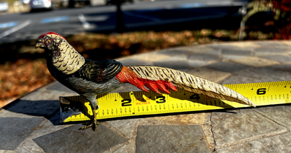 Antique Austrian Vienna Cold Painted Bronze Figure of Amherst Pheasant6