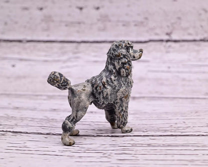 Antique Early 1900s Austrian Vienna Cold Painted Solid Bronze Gray Poodle ￼4