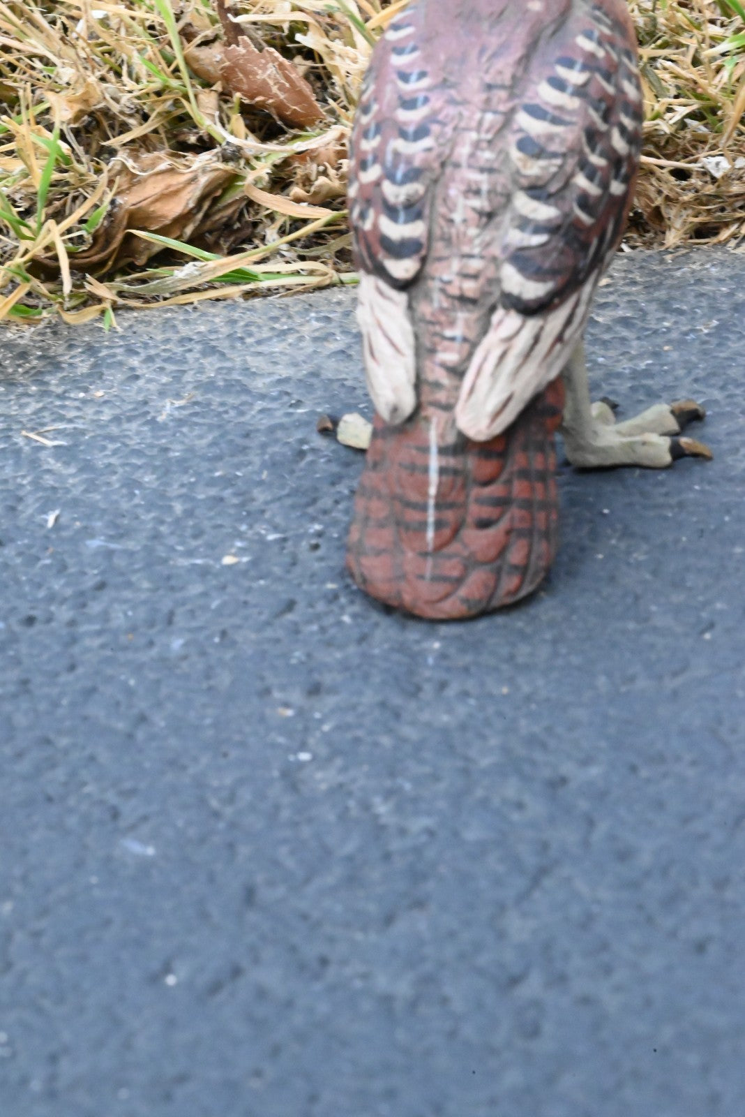 Beautiful Austrian Vienna Cold Painted Bronze Figure of  Partridge Game Bird4