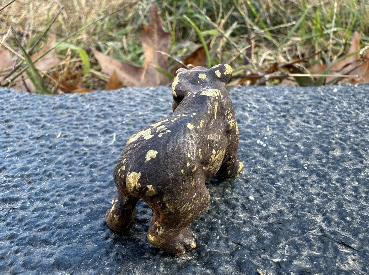 Gorgeous Antique Austrian Vienna Cold Painted Bronze Figure of Brown Bear Cub2
