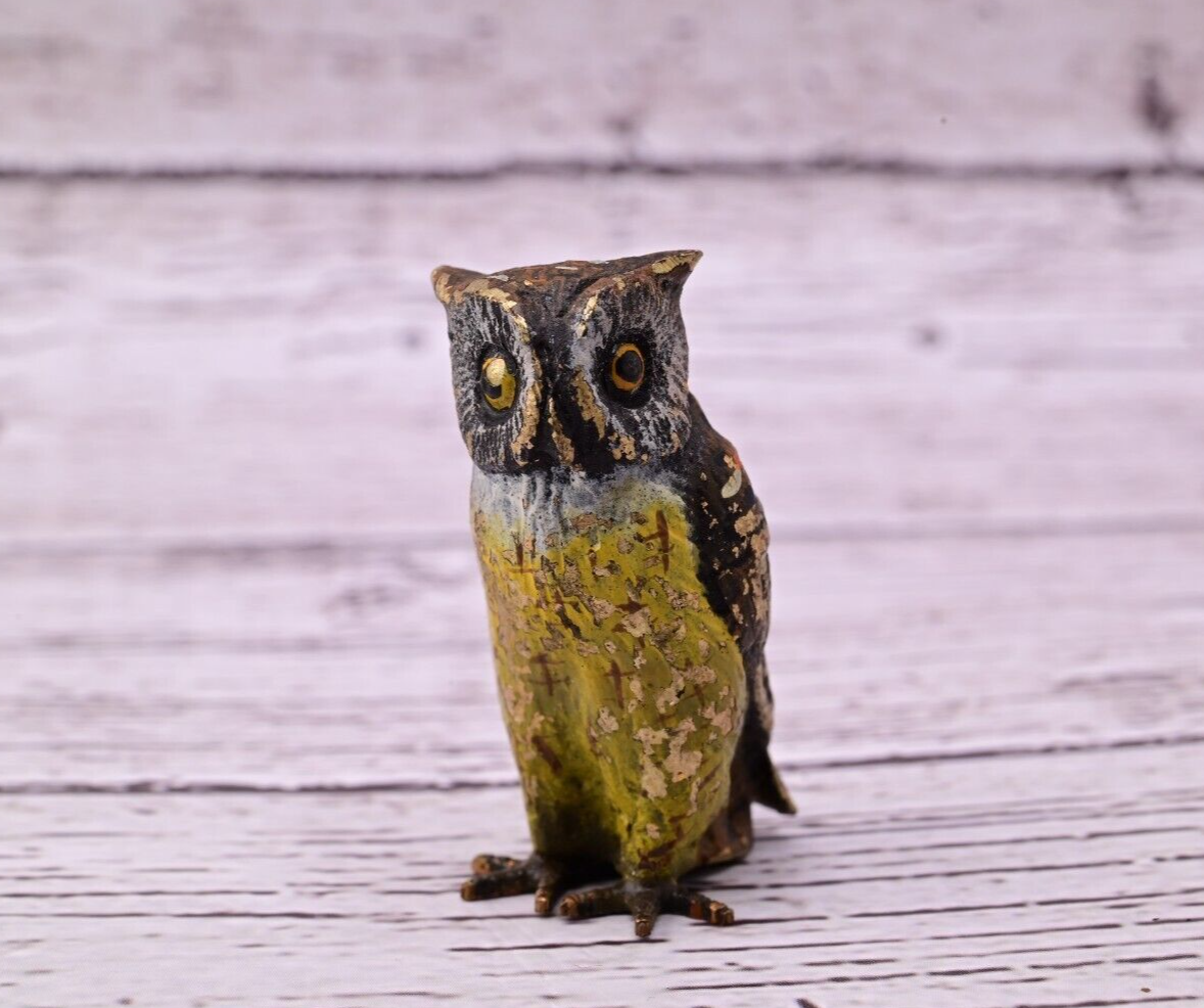 High Quality Antique Austrian Vienna Cold Painted Bronze Figure of Owl3