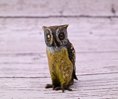 High Quality Antique Austrian Vienna Cold Painted Bronze Figure of Owl3