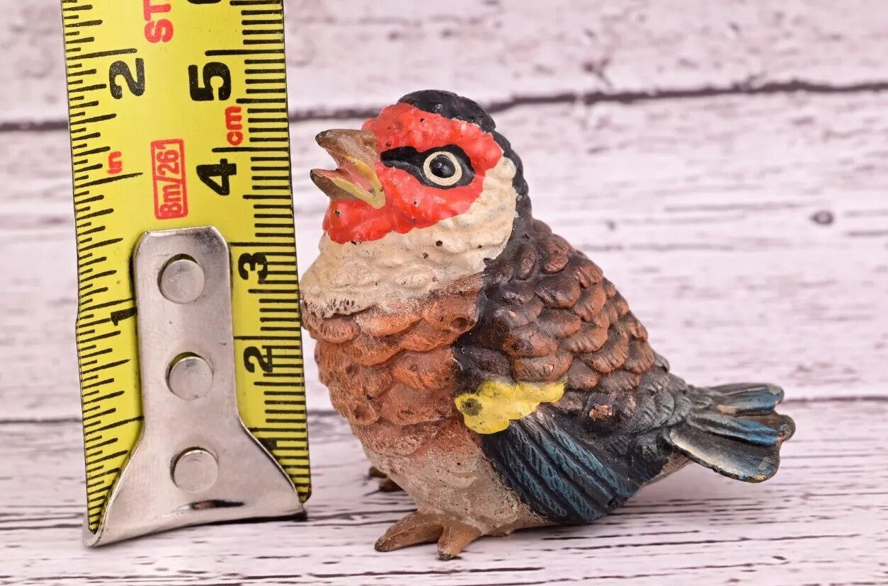 Majestic Antique Austrian Vienna Cold Painted Bronze Figure of Golden Finch7